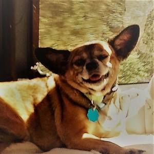 Meet your Posher, Carol